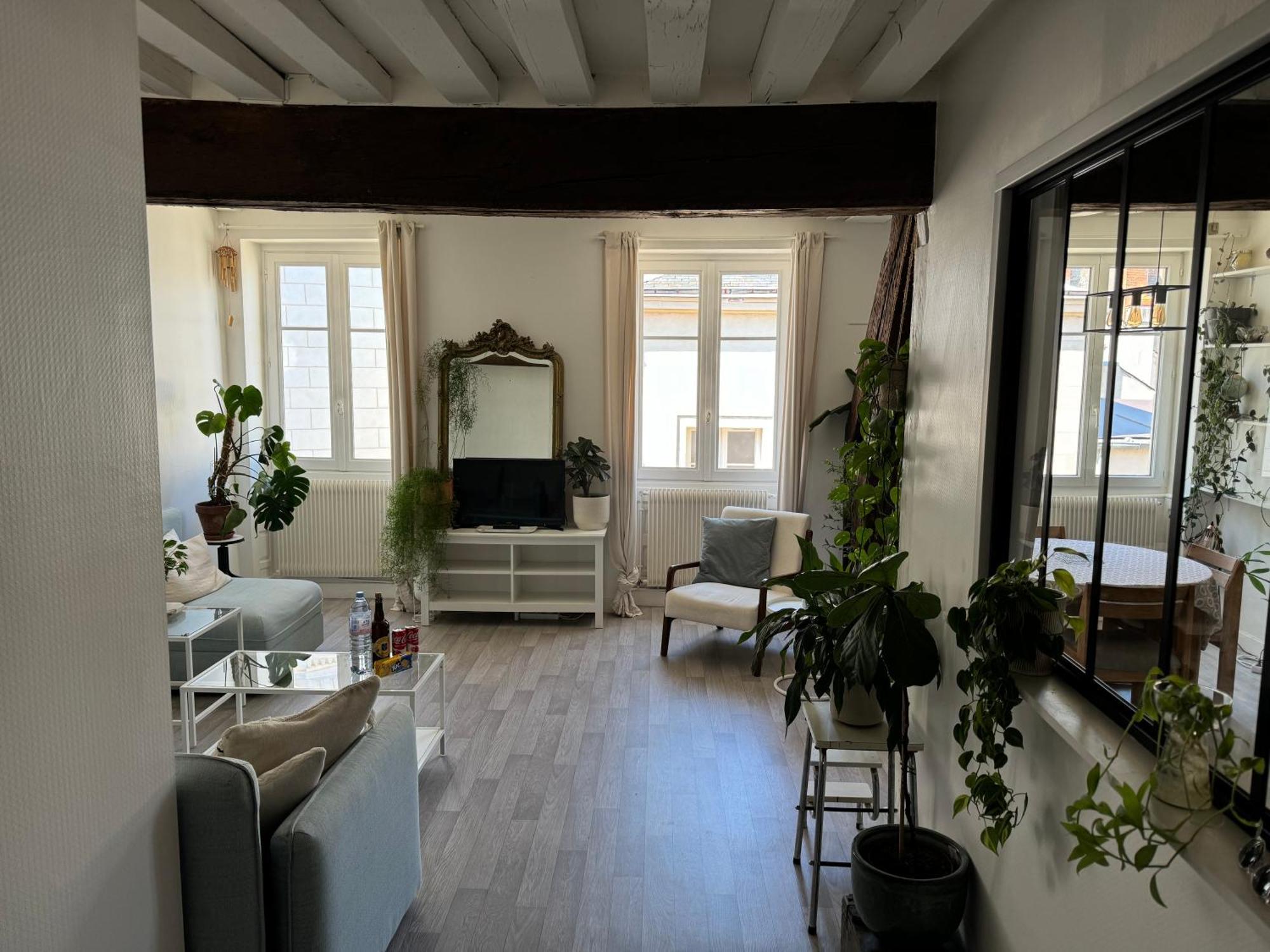 Appartement Central - Orleans Orléans Exterior foto